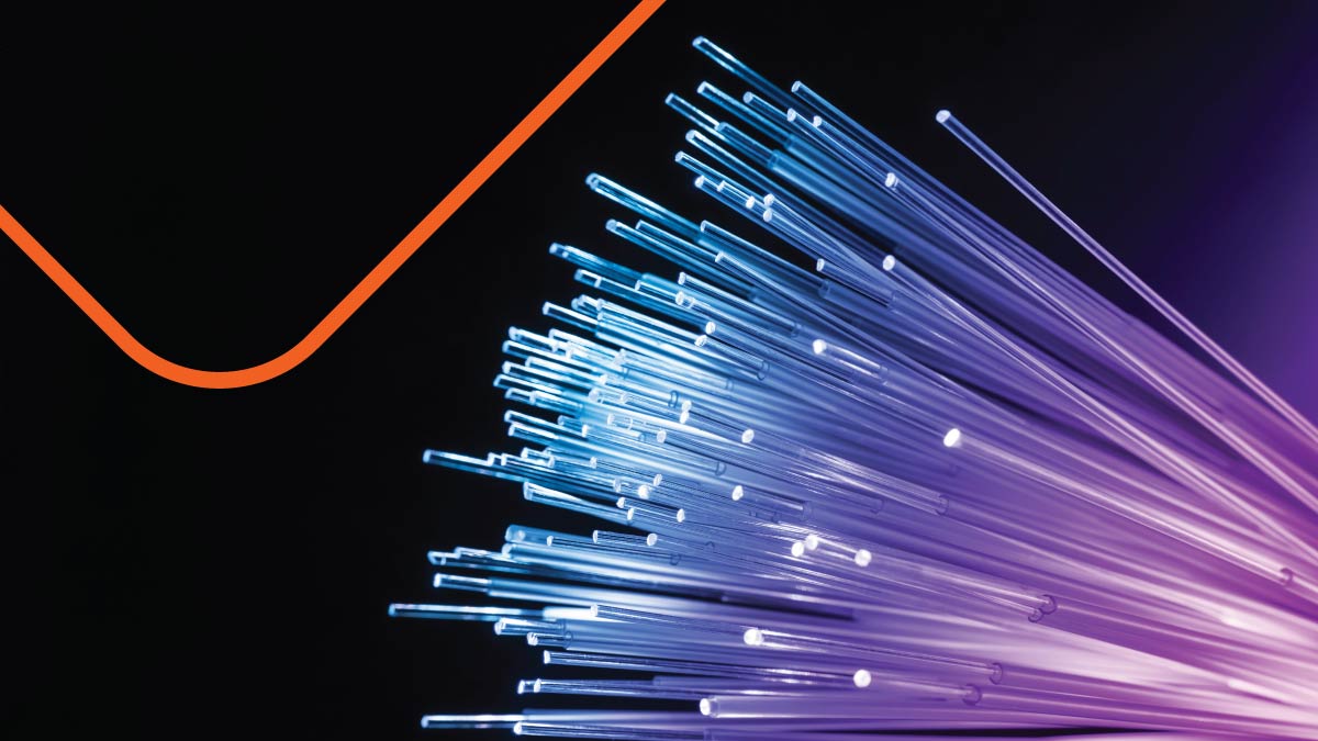fiber_standard-feature.jpg